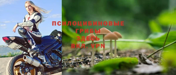 мескалин Арсеньев