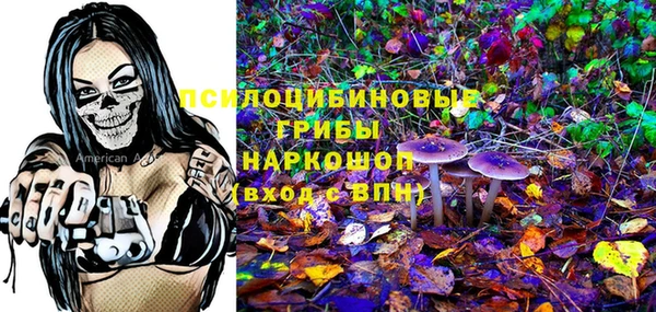 мескалин Арсеньев