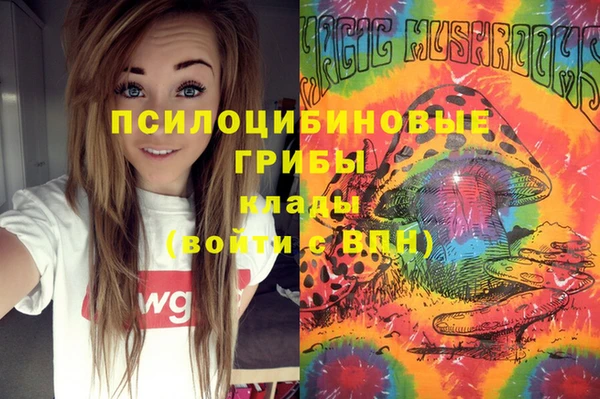 гашик Армянск