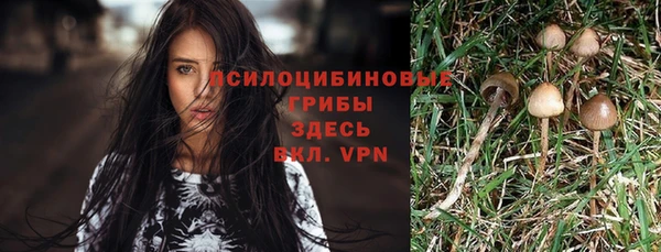 гашик Армянск